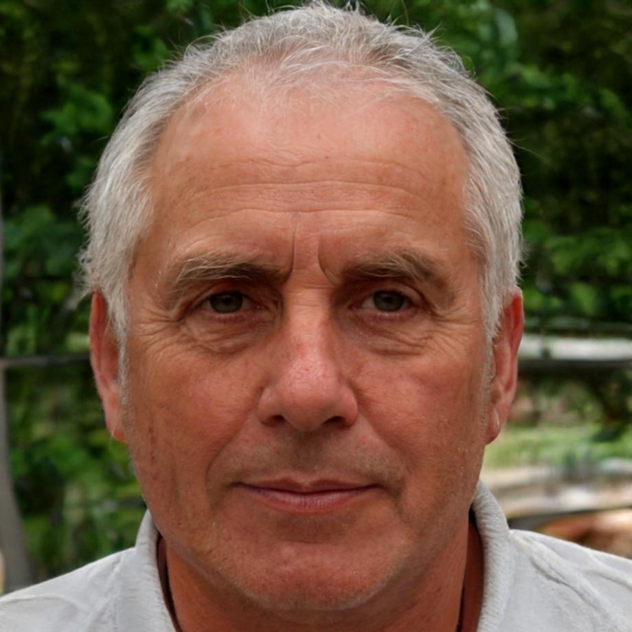 Alexandre Moreau, Directeur Stratégique chez calvixhub
